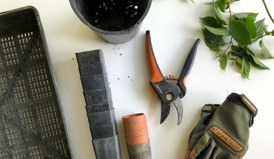 Gardening tools including gloves, pruners, pots, plant trays, and green leaves on a white surface.
